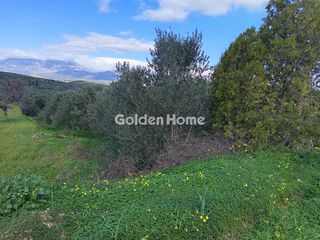 Οικόπεδο 4.000 τ.μ. για πώληση