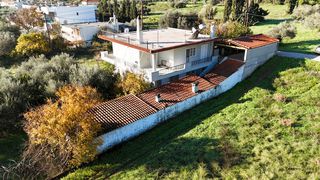 Μονοκατοικία 239 τ.μ. για πώληση