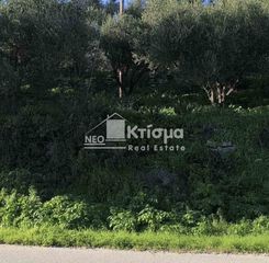 Οικόπεδο 1.055 τ.μ. για πώληση, Ζάκυνθος, Αρκάδι-thumb-10