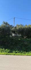 Οικόπεδο 1.055 τ.μ. για πώληση, Ζάκυνθος, Αρκάδι-thumb-4