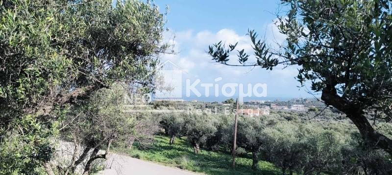 Οικόπεδο 1.055 τ.μ. πρός πώληση, Ζάκυνθος, Αρκάδι