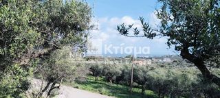 Οικόπεδο 1.055 τ.μ. για πώληση, Ζάκυνθος, Αρκάδι-thumb-1