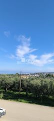 Οικόπεδο 1.055 τ.μ. για πώληση