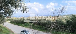 Οικόπεδο 1.055 τ.μ. για πώληση, Ζάκυνθος, Αρκάδι-thumb-2