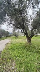 Οικόπεδο 2.500 τ.μ. για πώληση