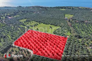 Αγροτεμάχια 8.567,68 τ.μ. για πώληση