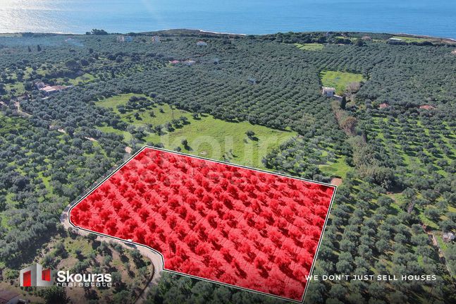 Αγροτεμάχια 8.567,68 τ.μ. για πώληση, Μεσσηνία, Γαργαλιάνοι