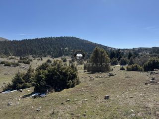 Οικόπεδο 18.000 τ.μ. για πώληση, Φωκίδα, Δελφοί-thumb-12