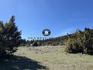 Οικόπεδο 18.000 τ.μ. για πώληση, Φωκίδα, Δελφοί-thumb-3