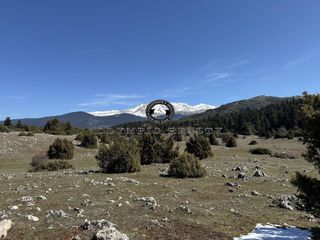 Οικόπεδο 18.000 τ.μ. για πώληση, Φωκίδα, Δελφοί-thumb-10