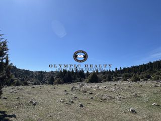 Οικόπεδο 18.000 τ.μ. για πώληση, Φωκίδα, Δελφοί-thumb-5
