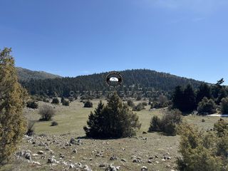 Οικόπεδο 18.000 τ.μ. για πώληση, Φωκίδα, Δελφοί-thumb-13