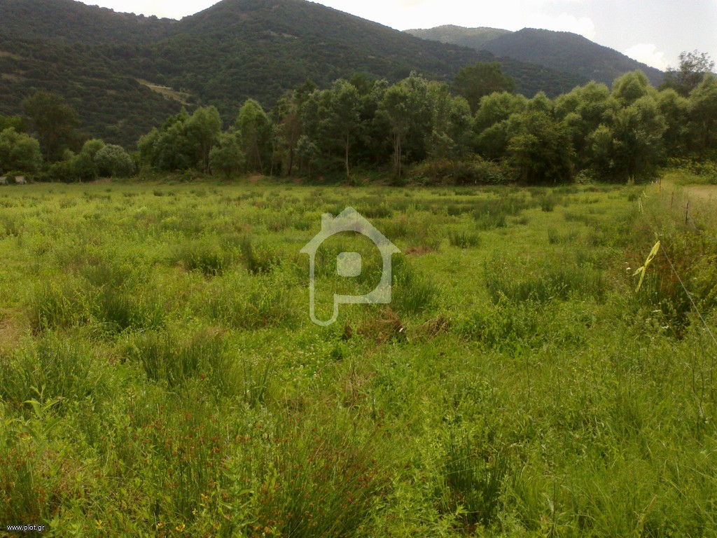 Οικόπεδο 13.817 τ.μ. προς πώληση, Λαγοβούνι
