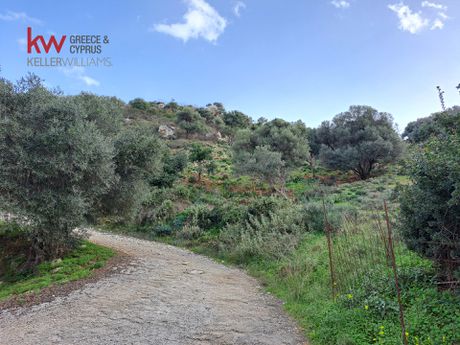 Οικόπεδο 12.763,34 τ.μ. προς πώληση