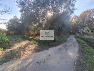 Οικόπεδο 8.200 τ.μ. για πώληση