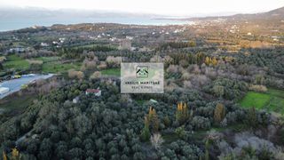 Οικόπεδο 8.200 τ.μ. για πώληση, Ν. Κέρκυρας, Κέρκυρα-thumb-4