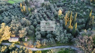 Οικόπεδο 8.200 τ.μ. για πώληση, Ν. Κέρκυρας, Κέρκυρα-thumb-15