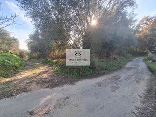 Οικόπεδο 8.200 τ.μ. για πώληση, Ν. Κέρκυρας, Κέρκυρα-thumb-14