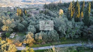 Οικόπεδο 8.200 τ.μ. για πώληση, Ν. Κέρκυρας, Κέρκυρα-thumb-2