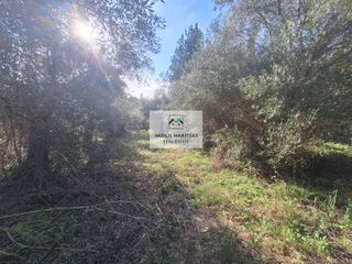 Οικόπεδο 8.200 τ.μ. για πώληση, Ν. Κέρκυρας, Κέρκυρα-thumb-10