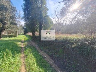 Οικόπεδο 8.200 τ.μ. για πώληση, Ν. Κέρκυρας, Κέρκυρα-thumb-13