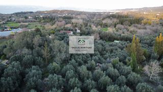 Οικόπεδο 8.200 τ.μ. για πώληση, Ν. Κέρκυρας, Κέρκυρα-thumb-5