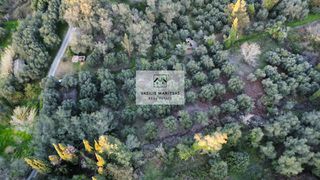 Οικόπεδο 8.200 τ.μ. για πώληση, Ν. Κέρκυρας, Κέρκυρα-thumb-9