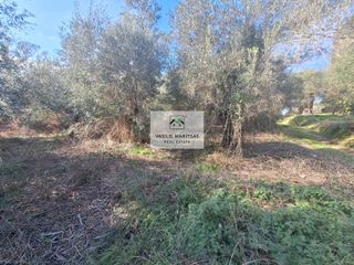 Οικόπεδο 8.200 τ.μ. για πώληση, Ν. Κέρκυρας, Κέρκυρα-thumb-12