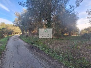 Οικόπεδο 8.200 τ.μ. για πώληση, Ν. Κέρκυρας, Κέρκυρα-thumb-1
