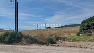 Αγροτεμάχια 4.500 τ.μ. προς πώληση, Φθιώτιδας, Λαμία-thumb-5