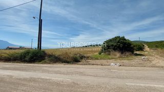 Αγροτεμάχια 4.500 τ.μ. προς πώληση, Φθιώτιδας, Λαμία-thumb-3