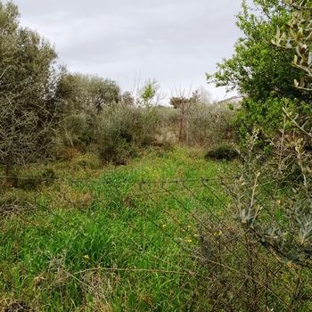Οικόπεδο 480 τ.μ. προς πώληση
