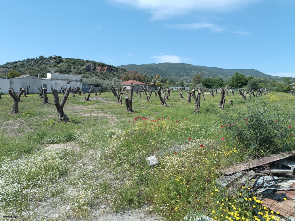 Αγροτεμάχια 4.030 τ.μ. πρός πώληση, Μαγνησία, Βόλος
