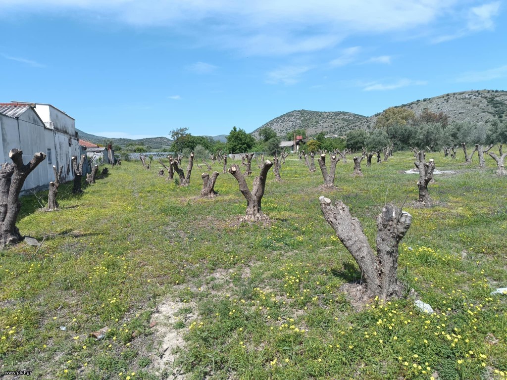 Αγροτεμάχια 4.030 τ.μ. πρός πώληση, Μαγνησία, Βόλος