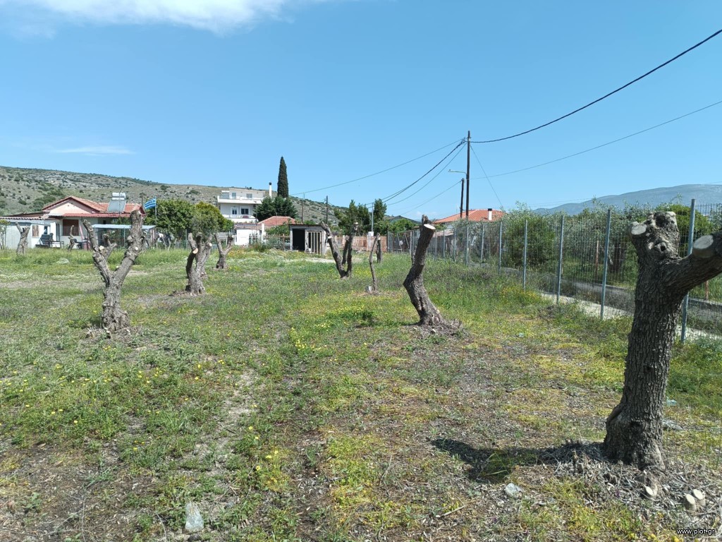 Αγροτεμάχια 4.030 τ.μ. πρός πώληση, Μαγνησία, Βόλος