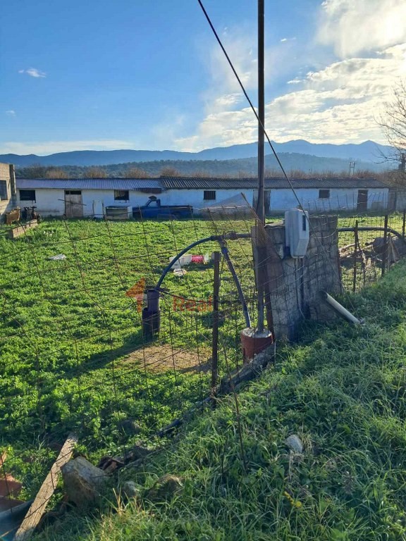 Parcel 9.050 sqm for sale, Aidipsos