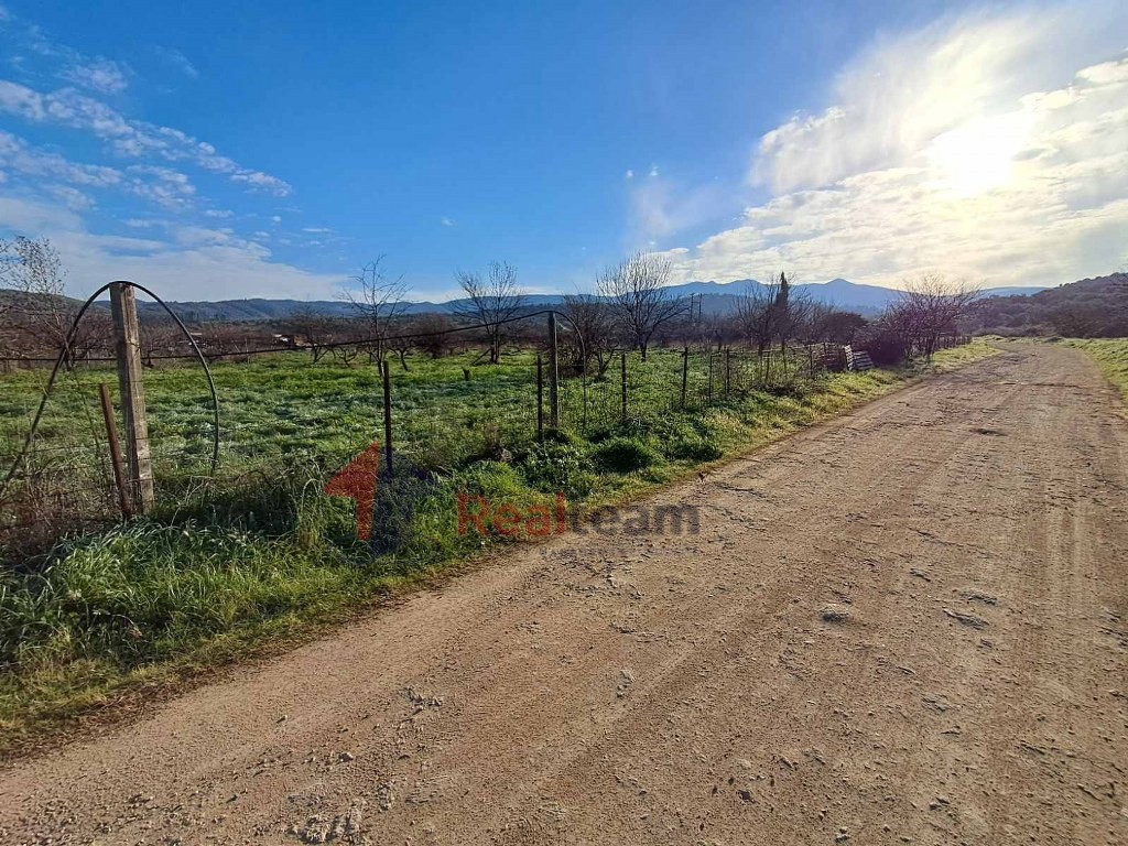 Parcel 9.050 sqm for sale, Aidipsos