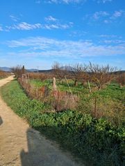 Warehouse 400 sqm for sale, Evia, Aidipsos-thumb-8