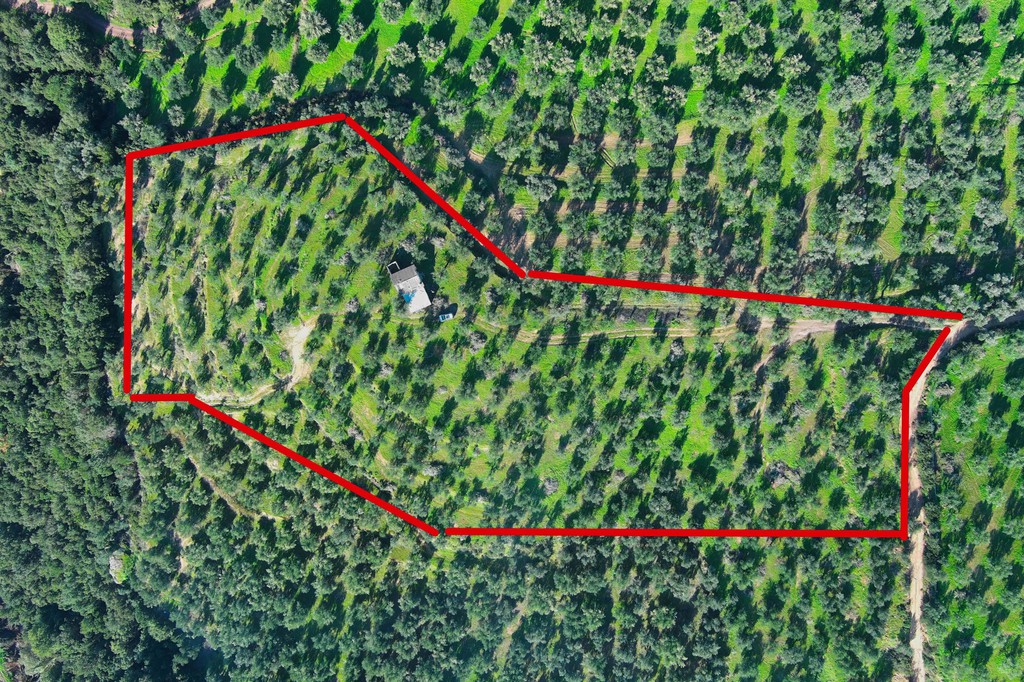 Αγροτεμάχια 15.000 τ.μ. για πώληση, Μεσσηνία, Ανδρούσα