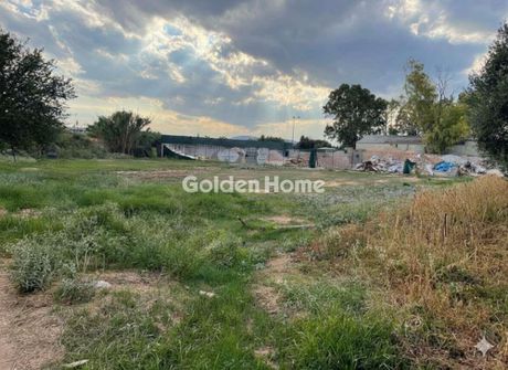 Land plot 1.302 sqm for rent