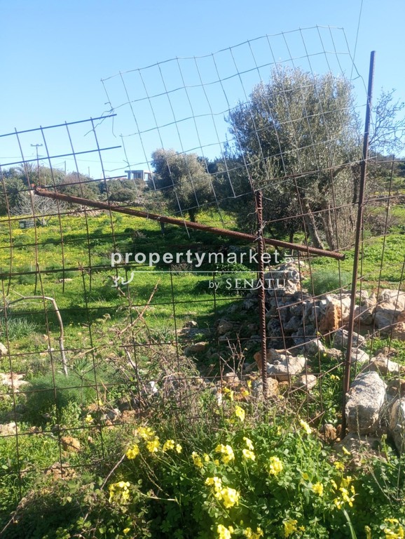 Οικόπεδο 672 τ.μ. πρός πώληση, Ν. Ρεθύμνου, Ρέθυμνο
