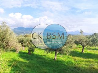 Αγροτεμάχια 5.800 τ.μ. για πώληση, Μεσσηνία, Άριο-thumb-6