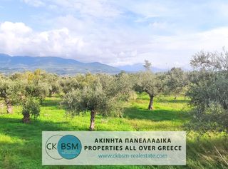 Αγροτεμάχια 5.800 τ.μ. για πώληση
