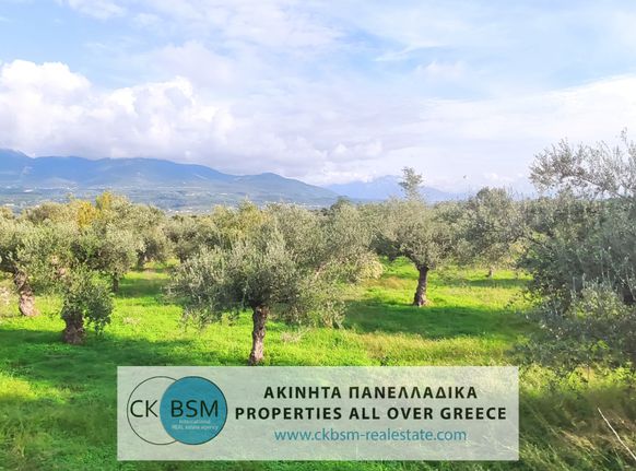 Αγροτεμάχια 5.800 τ.μ. για πώληση, Μεσσηνία, Άριο