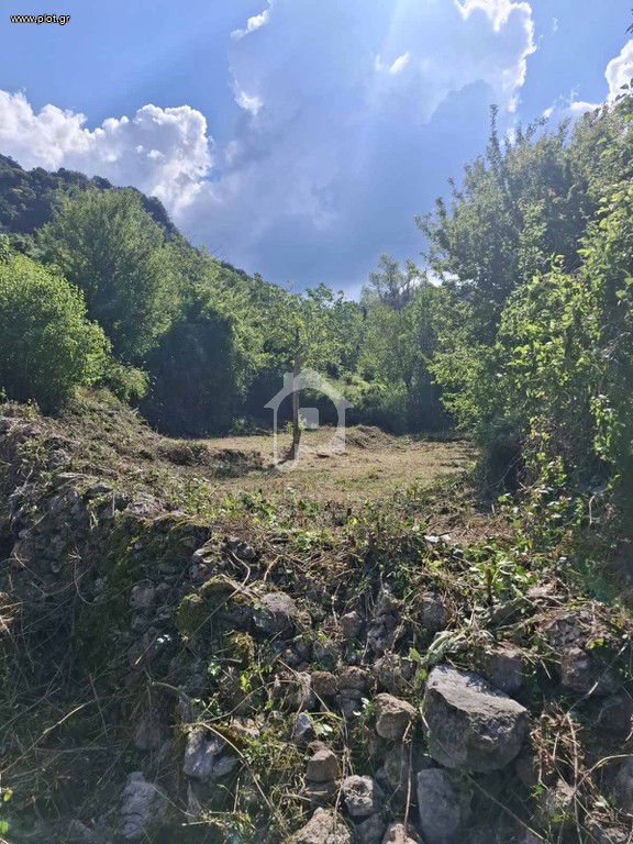 Μονοκατοικία 1.032 τ.μ. προς πώληση, Στεμνίτσα