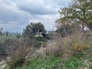 Οικόπεδο 381 τ.μ. για πώληση, Ν. Καβάλας, Θάσος-thumb-6