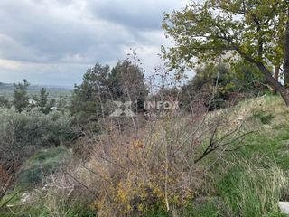 Οικόπεδο 381 τ.μ. για πώληση, Ν. Καβάλας, Θάσος-thumb-21