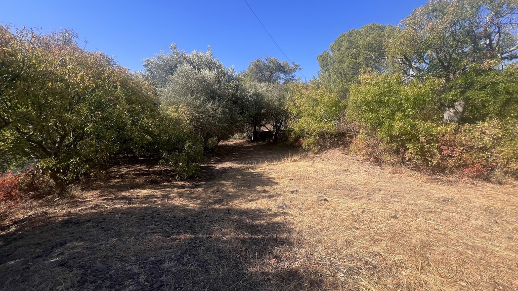 Οικόπεδο 787 τ.μ. προς πώληση, Πόλη Χίου