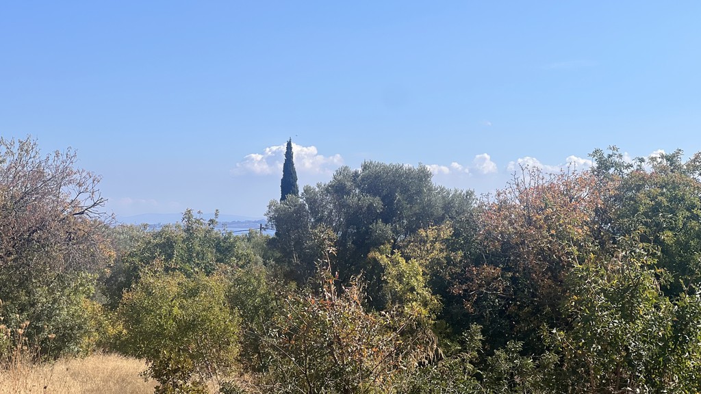 Οικόπεδο 1.529,49 τ.μ. προς πώληση, Πόλη Χίου