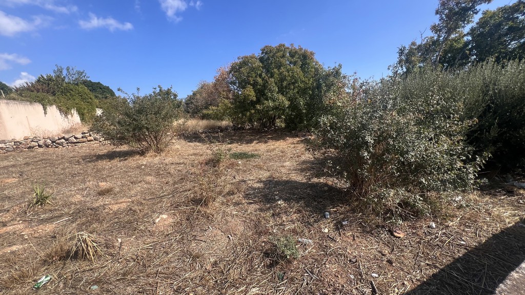 Οικόπεδο 1.529,49 τ.μ. προς πώληση, Πόλη Χίου